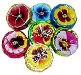 Pansies Solid Milk Chocolate - 1/2 Pound