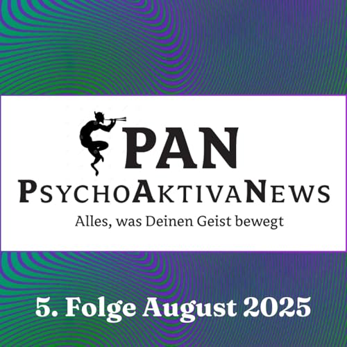 Page de couverture de Paradoxe Zeitenwende? Zwischen Legalisierung und Rückschritt im Umgang mit Cannabis und Psychedelika