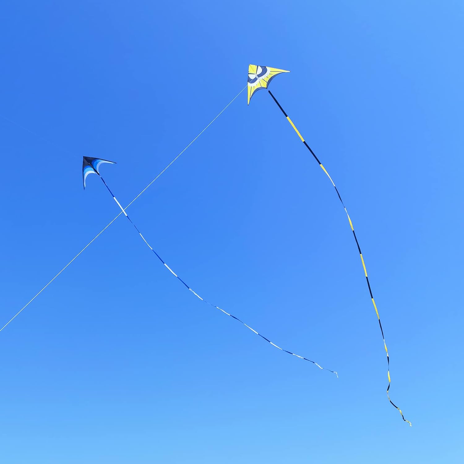 Delta Kite for Kids & Adults Easy to Fly Large, The Easiest Single Line