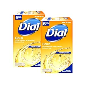 Dial Antibacterial Soap Bar, Gold, 6 Count (Pack of 2)