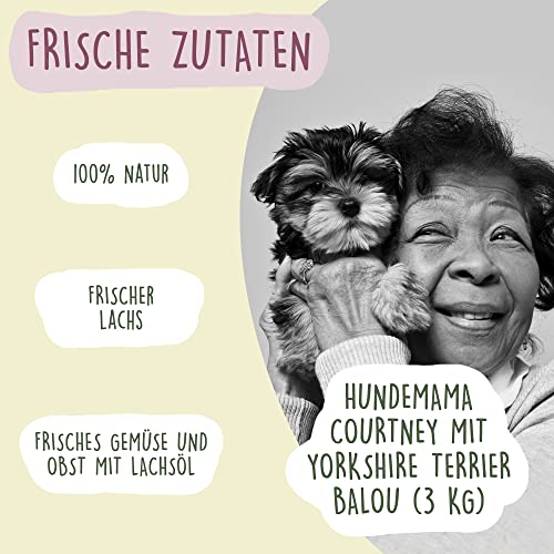 Fidelis - Getrocknetes Lachs-Menü für Hunde 1kg - Premium Hundefutter trocken mit 80% Fischanteil, Gemüse & Obst - Proteinhaltiges Trockenfutter Hund schonend getrocknet - Zucker- & Getreidefrei