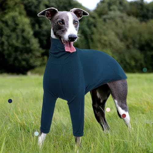 IECOii Windhundpullover,gemütlicher Overall für italienische Windhunde,Whippet-Pullover-Schlafanzug für Hunde,Rollkragen-Einteiler für Whippets,Windhund-T-Shirts mit Ärmeln,Blau,XS