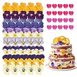 Nymora 64 Pezzi Fiori commestibili per Cocktail, Decorazioni per Torte e Bevande, Veri Fio...