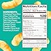 HIPPEAS Chickpea Puffs, Groovy White Cheddar, Gluten Free Snacks, Dairy Free, Vegan, 4oz, Pack of 6, 3g Protein, 2g Fiber, Crunchy, Nutritious, Baked Plant Protein Snack, Non-GMO, Kosher