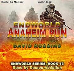 Diseño de la portada del título Anaheim Run