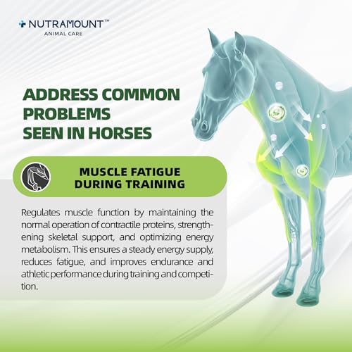 Horse Ground Flaxseed Feed, Natural High-Fat Flaxseed Meal for Horses, Coat Shine & Daily Feed Mix, Easy-to-Digest Horse Feed Ingredient – 1400g - Image 5