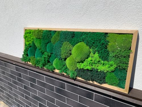 Jocko Studio Living Room Wall Art, Large Preserved Moss Decor, Biophilic Design Project - White - 20" x52(50x130cm)