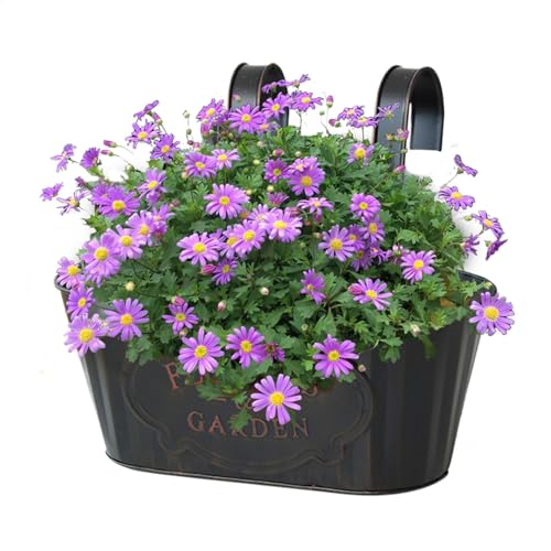 Maceta de barandilla para balcón, jardineras de barandilla para exteriores, maceta de valla para exteriores, jardinera colgante, cajas de flores colgantes de metal para jardín, porche exterior