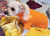 Review Image by tammy blackham tammy blackham