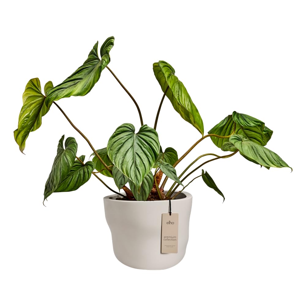 Elho mura 40cm vaso da fiori - Linen White