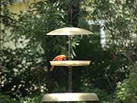 Review Image by Garlickid Garlickid