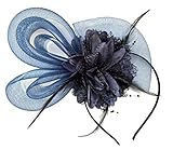 Women's Fascinators Hat Small Hairpin Feather Mesh Flower Hairclip (Z Navy Blue)