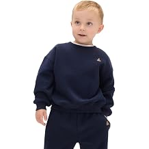 GAP Baby Boys Icon Pullover Hoodie