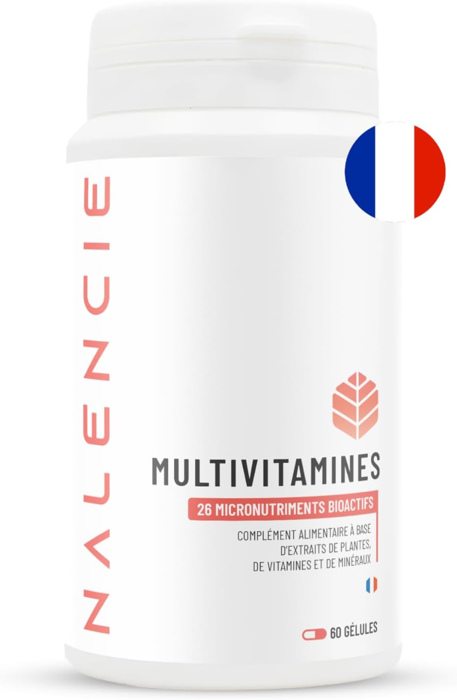 Multivitamins & Minerals – 26 Nutrients – Vitamins A B C D3 E + Magnesium, Zinc and Selenium – High Assimilation – 60 Vegan Capsules – For Women and Men – Made in France