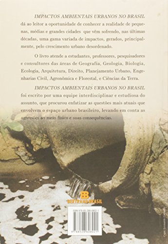 Impactos ambientais urbanos