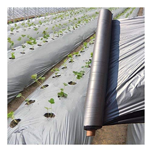 Dimo 1pcs 50m 0.012mm Orchard Fruit Tree Silver-Black Plastic Film, Garden Greenhouse Reflective Weed Control Silvery Black Mulch Film (Color : Silver Black 0.012mm, Size : Width 800mm)