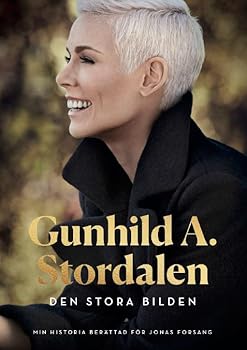 Pocket Book Den stora bilden [Swedish] Book