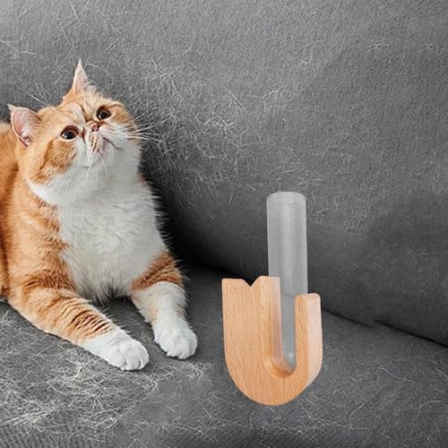 Vase à moustaches de chat et poils d'animaux en verre et bois pour collectionneur