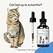 Pet Wellbeing Comfort Gold for Cats - Supports Feline Physical Comfort, Healthy Circulation, Corydalis, Turmeric - Veterinarian-Formulated Herbal Supplement 2 oz (59 ml)