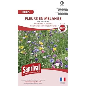 Gachère fleurie Massif – Calze basse