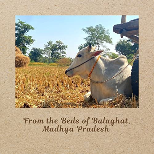 Image of APKA KISAN | GI Tagged Chinnor Rice | 2 Kg | Unpolished | Natural Aroma | Chemical & Pesticide Free | Organic | Farmers of Balaghat, Madhya Pradesh