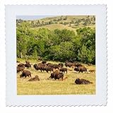 Square dimensions (in inches): 12 L x 12 W, image dimensions (in inches): 10 L x 10 W 100% poloyester; image is soft to touch. Made in USA Edges have pinking shear cut Image will not fade with washing. Image not a transfer, part of material