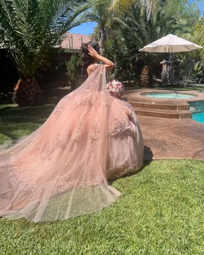 3D Floral Quinceanera Dresses Layered Ruffled Ball Gown with Flowers Glitter Beaded Sweet 16 Prom Dress YU0052