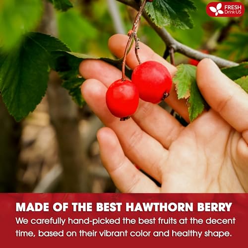 Image of FreshDrinkUS, Premium Hawthorn Berry Tea - 75 Tea Bags - 100% Natural Herbal Infusion, Caffeine-Free, Rich Aroma & Smooth Taste. Vegan