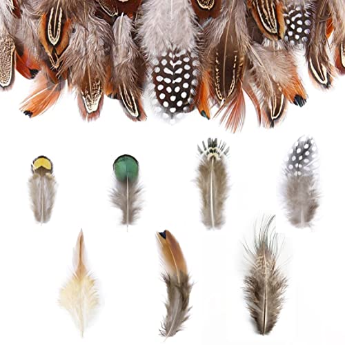 210pcs 7 Style Natural Feathers Assorted Mixed Feathers for Crafts Jewelry Dream Catcher Crafts DIY Feathers FF02