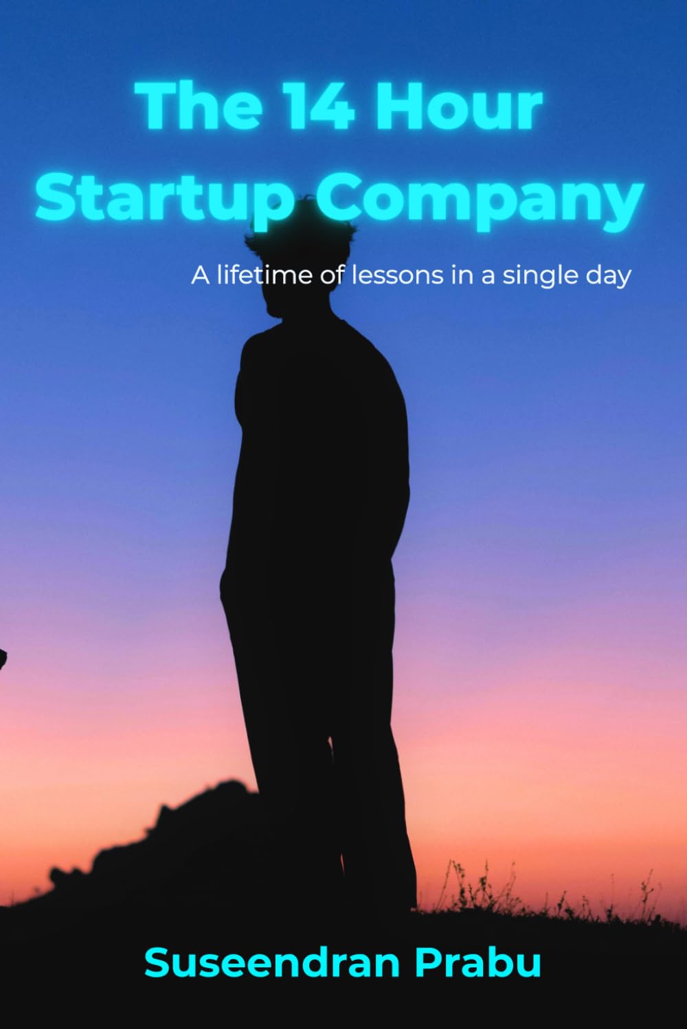 The 14 Hour Startup Company: A lifetime of lessons in a single day