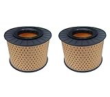 2PC 504260001001 Air Filters Replacement Compatible for Hatz 1B20 1B20V 1B20SCS 1B27 1B30 1B30V