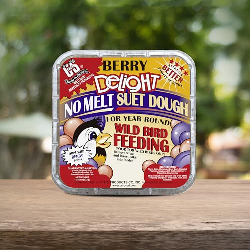 C&S Berry Delight No Melt Suet Dough, Suet Cakes for Wild Birds by C&S - Image 8