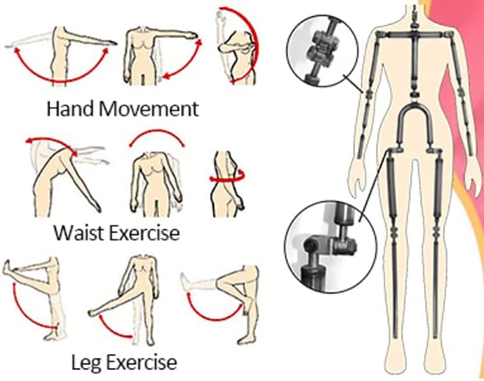 Big Breasts Female Doll Torso Sex Dolls Life Like Sex Doll Full Body Sex Silicone Doll Sex Love Doll Life Full Size Sex Adult Toys for Men Male Sex Partner for Men, Natural Skin: Sex Dolls 10