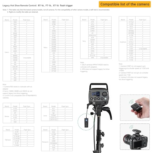 Godox Studio Flash Kit for Photography, 600W Studio Strobe Light Set with Bowens Mount, 2.4G X System MS300 Monolights, Flash Trigger, Softbox, Tripod Stands, Reflector Storage Bag, Umbrella