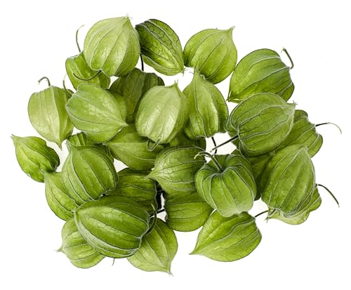 Fresh Green Tomatillos by RawJoy Farms