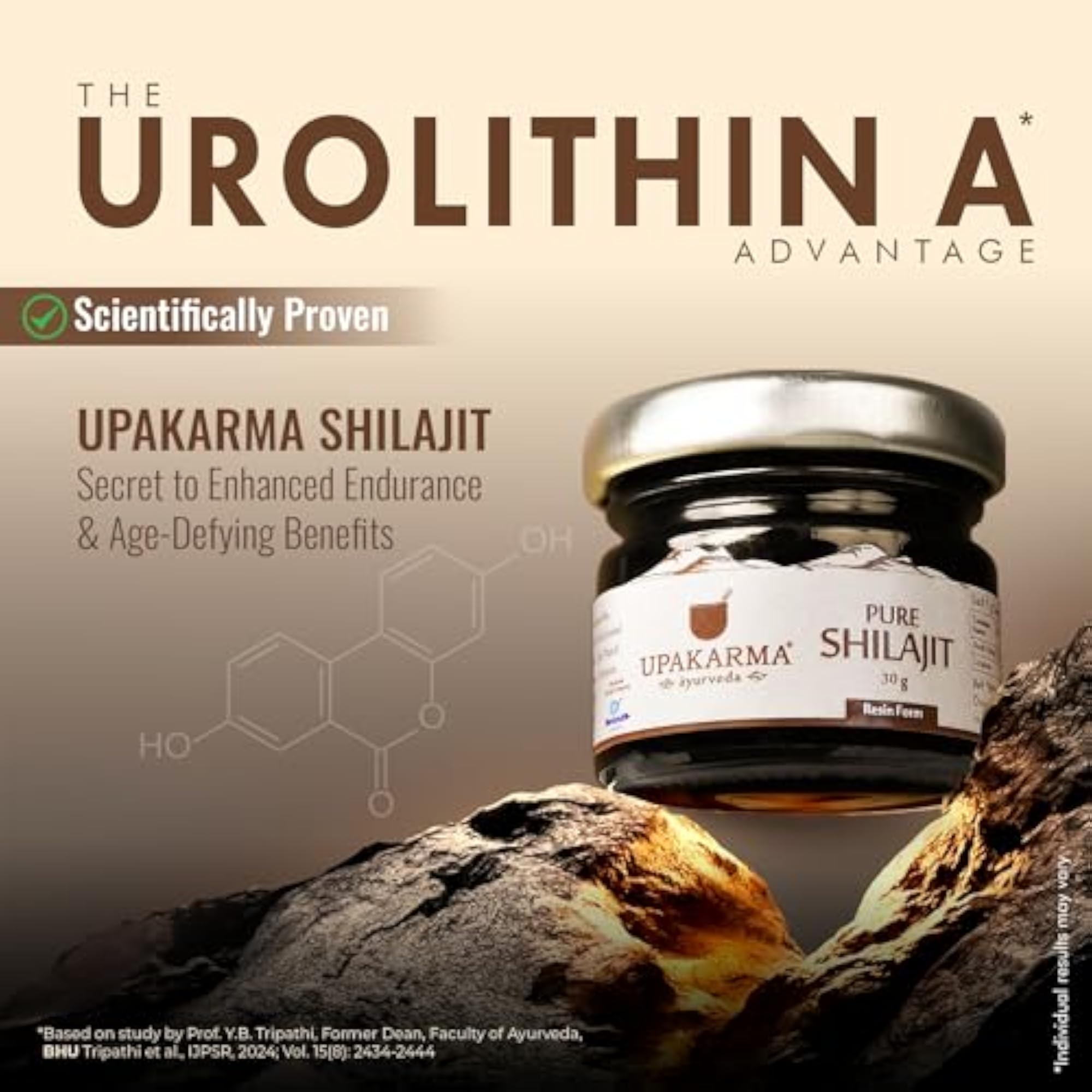 UPAKARMA Pure Shilajit Resin, 30g