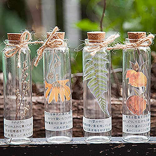 Maxleaf Transparent Waterproof Stickers Set - 48Pcs Vintage Plants Flowers Collection Big Size Waterproof Stickers For Decoration Planners Scrapbook Laptops (Dried Flowers) #TOP3