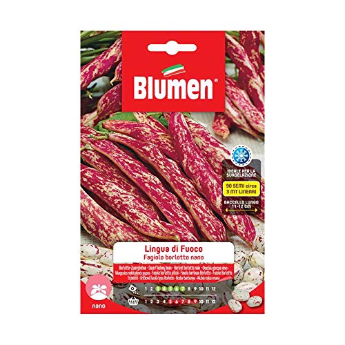SEMI FAGIOLI BORLOTTI NANI LINGUA DI FUOCO BLUMEN