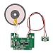 Circuito senza fili del caricatore PCBA di Qi di DIY per i telefoni cellulari standard di Qi con il modulo del trasmettitore di carico senza fili della bobina, micro interfaccia universale