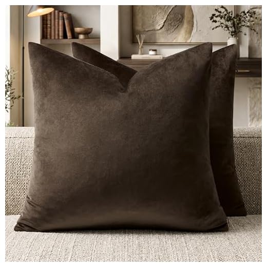 GIGIZAZA Brown Velvet Pillow Covers 18x18,Square Solid Throw Pillow Covers Decorative Modern Pillows Small Vintage Cases for Couch Pack of 2