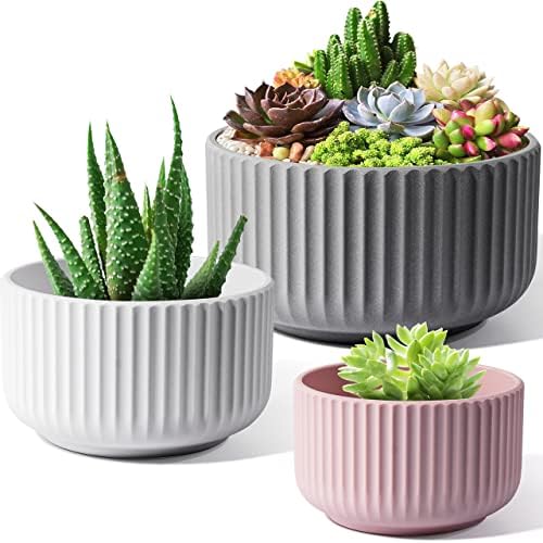JOFAMY Succulent Plant Pots 3 Pack, 4/5/6 Inch Plant Pot,3 Colors Plastic Flower Pots with Drainage Holes,Small Succulent Pots Modern Concise Indoor Plant Pot for Most Houseplants, Aloe, Pothos