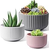 JOFAMY Succulent Plant Pots 3 Pack, 4/5/6 Inch Plant Pot,3 Colors Plastic Flower Pots with Drainage
