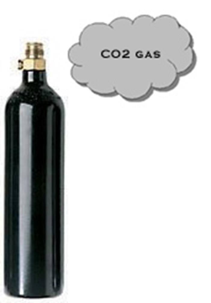 Paintball Co2 Tank, 12-Ounce