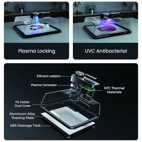 Tagliere elettrico per scongelare, vassoio per scongelare la carne con timer intelligente per uno scongelamento rapido di 10 minuti, capacità 4,2 l, piano di lavoro della cucina