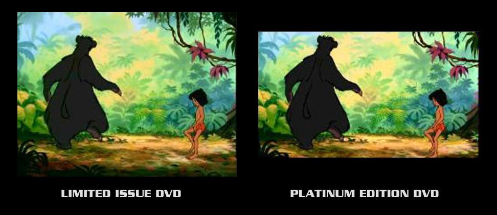 Limited Edition DVD has better aspect ratio