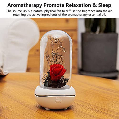 Difusor aromático eléctrico Eternal Rose con luz nocturna USB miniatura 2