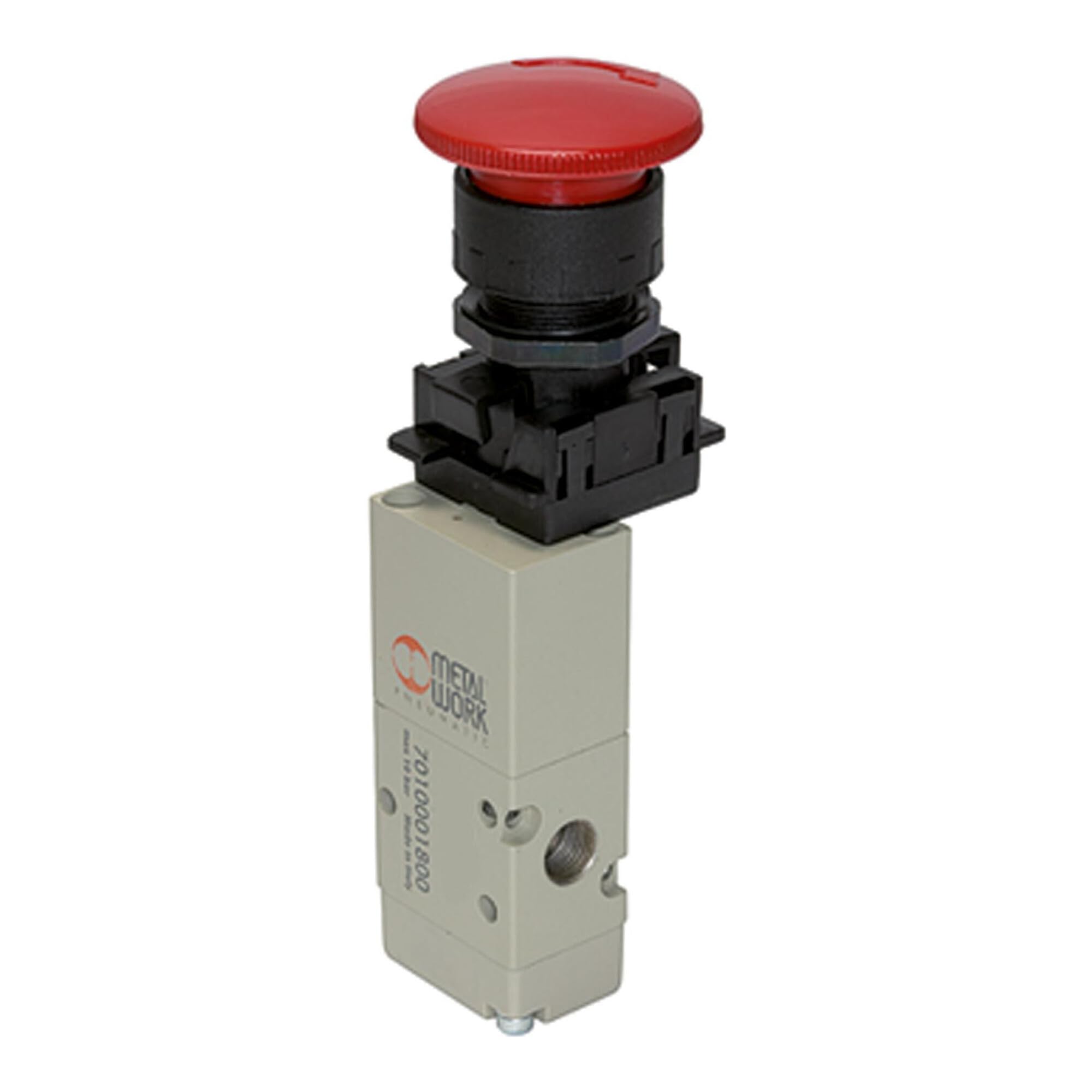 Vanne 3/2 voies RIEGLER 106428 bouton champignon G 1/8 NC