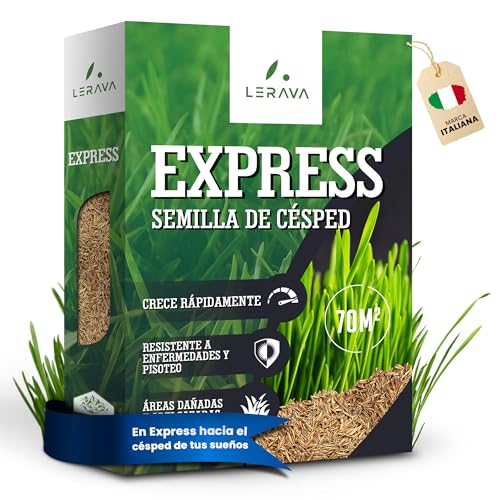 LERAVA® EXPRESS semillas césped (70m²) - crecimiento rápido y resistente - ideal para jardín soleado o con sombra - césped natural de alta tolerancia al calor - calidad italiana - 1,8 kg