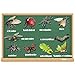 Gemini&Genius 10Pcs Bug Toys for Kids, Woodland Animals, Insect Figurines, Cicada, Ladybird, Mosquito, Bee, Dragonfly, Caterpillar, Spider, Butterfly, Phyllium, Samia Cynthia Animal Toy Gifts for Kids