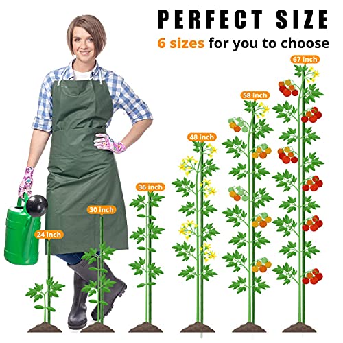 Laveve Garden Stakes 60 Inches Heavy Duty Steel Tomato Stakes, Plastic Coated Support Stakes For Securing Trees, Climbing Plants, Cucumber, Beans, 20 Pack #TOP2